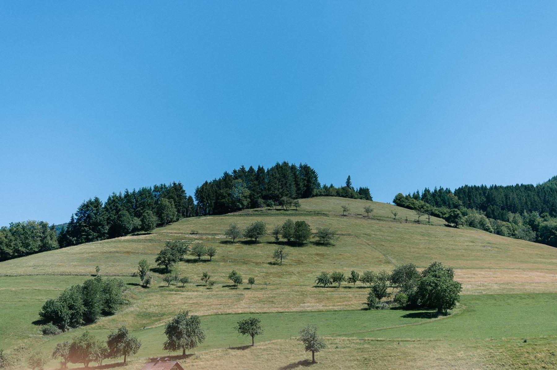 Moderne 2 Zi.-Fewo Blackforest Art Barrierefrei Naehe Freiburg Simonswald Exterior foto
