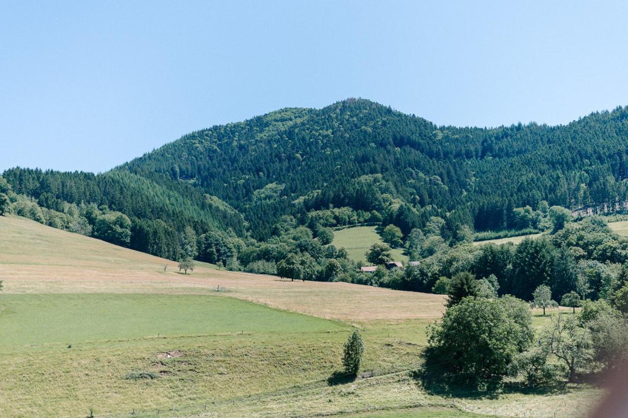 Moderne 2 Zi.-Fewo Blackforest Art Barrierefrei Naehe Freiburg Simonswald Exterior foto